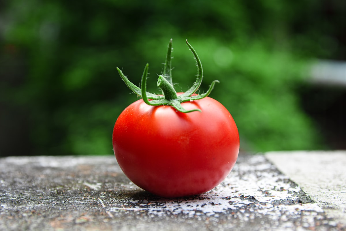 san marzano